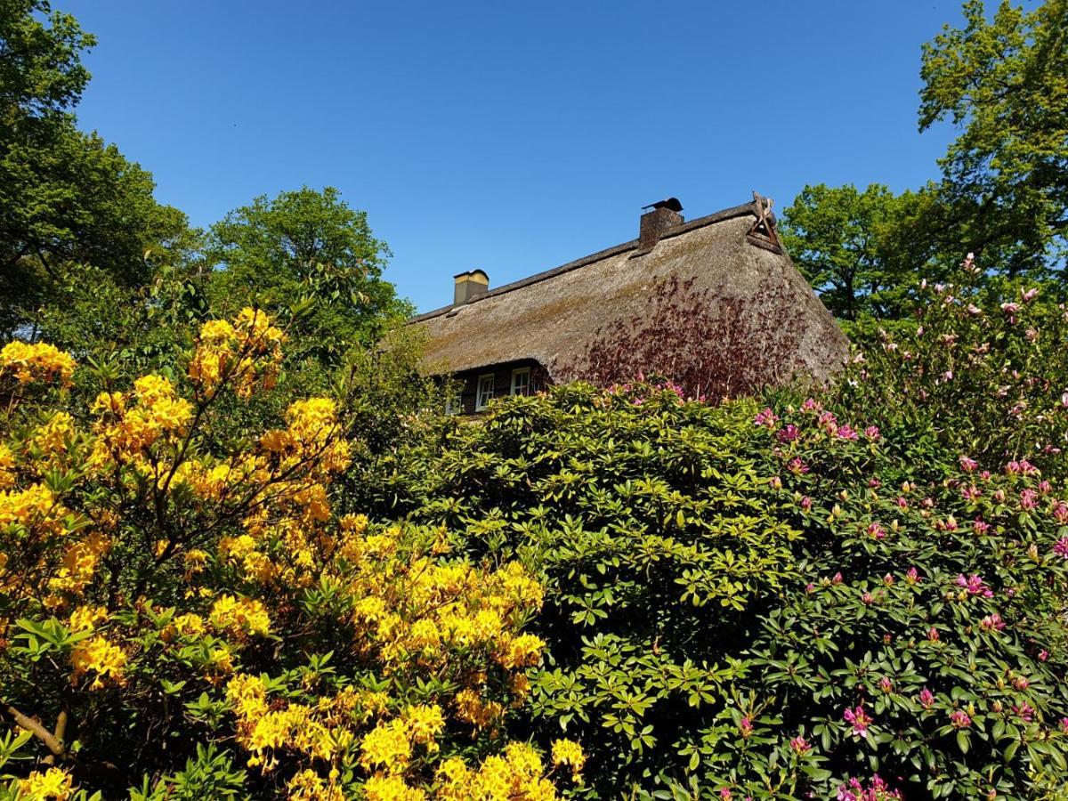 Hof Lindemann Villa Schneverdingen Buitenkant foto